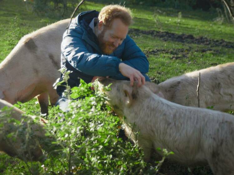 Why ‘I Could Never Go Vegan’ wants to change the way we all eat Why ‘I Could Never Go Vegan’ wants to change the way we all eat