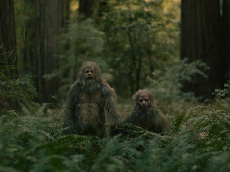 Sasquatch Sunset Sasquatch Sunset