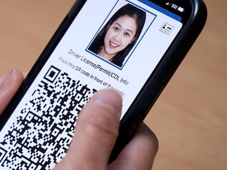 These digital ID cards just made New York travel way easier These digital ID cards just made New York travel way easier